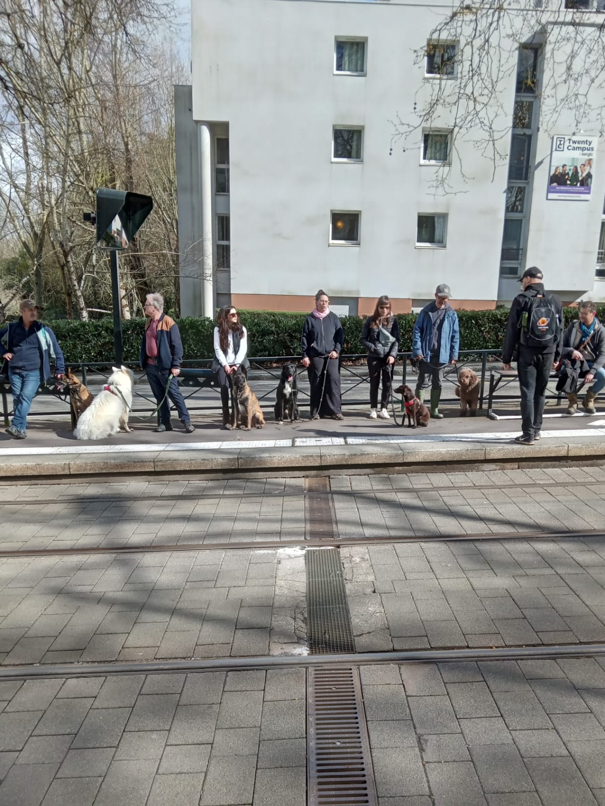 Socialisation à Nantes !
